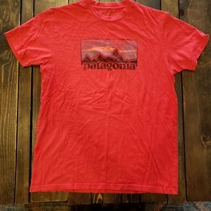 Patagonia t-shirt